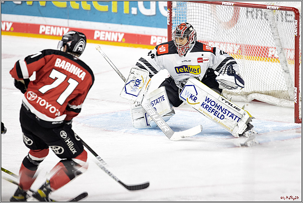 PENNY DEL;  Koelner Haie - Krefeld Pinguine; Koeln, 31.10.2021